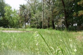 Sportski tereni na Paliću