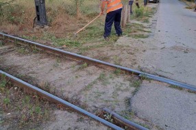 Nepregledan prelaz preko pruge u Kozaračkoj ulici (rastinje)