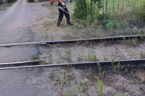 Nepregledan prelaz preko pruge u Kozaračkoj ulici (rastinje)