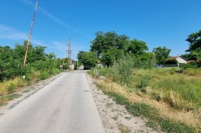 Nepregledan prelaz preko pruge u Kozaračkoj ulici (rastinje)