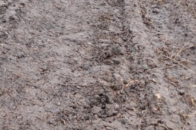 Meštani jednog dela Đurđina ostali odsečeni od ostatka sela