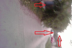 Razgranate grane u ulici Nade Dimić