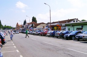 Zagađenje životnog prostora u okolini Buvljaka