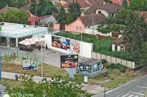 Ambrozija dva metra visine na privatnom posedu na Prozivci