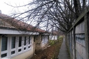 Odlomljeno drvo na krovu Medicinske škole