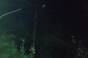 U selu Gabrić ulična rasveta zarasla u krošnje, neki stubovi srušeni