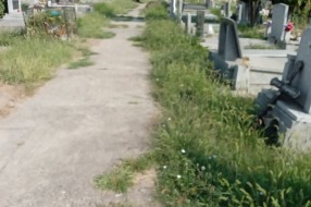 Visoka trava na groblju u Aleksandrovu