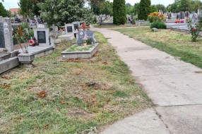 Visoka trava na groblju u Aleksandrovu