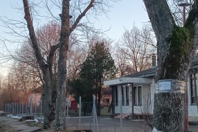 Završavanje seče stabala u Maloj Bosni