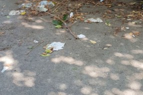 Smeće u centru grada