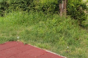 Održavanje igrališta u Aleksandrovu (Otmara Majera)