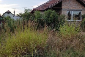Nemar vlasnika kuća u ulici Pište Dankoa