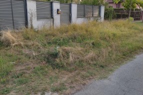 Nemar vlasnika kuća u ulici Pište Dankoa