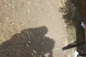 Novo igralište u tužnoj okolini (Kertvaroš)