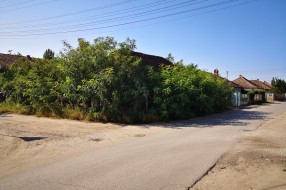 Zapuštena kuća, neprohodan trotoar, nepregledna i nebezbedna raskrsnica (Mohačka ulica)