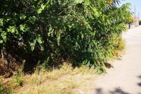 Zapuštena kuća, neprohodan trotoar, nepregledna i nebezbedna raskrsnica (Mohačka ulica)