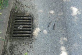 Odvodne rešetke na saobraćajnicama