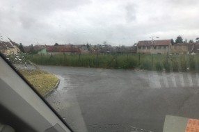 Ambrozija na Prozivci