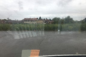 Ambrozija na Prozivci