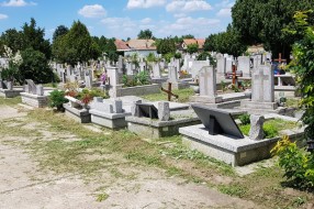 Bajsko groblje-slika nesposobnosti grada