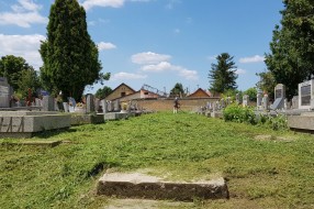 Bajsko groblje-slika nesposobnosti grada