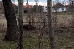 Balega na mostu