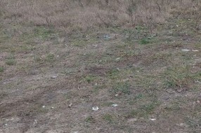 Deponija kraj puta u Srpskom šoru