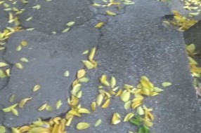 Trotoar u Frankopanskoj ulici