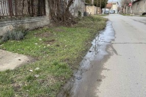 Fekalni otpad na ulici (ulica Dragutina Domjanića)