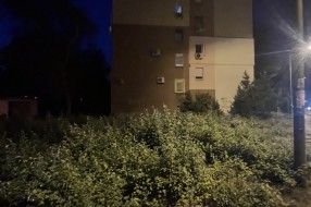 Zarastao ugao u Zetskoj ulici, klupa se skoro ne vidi