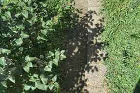 Košenje trave u Ohridskoj i Petrijskoj