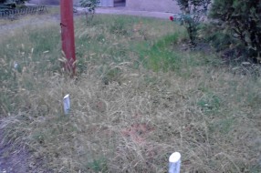 Zapuštena javna površina u Daruvarskoj na Paliću