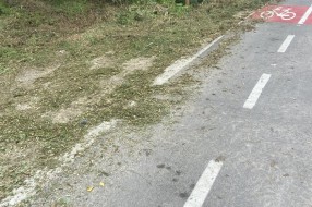 Održavanje staze oko Palićkog jezera