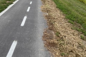 Održavanje staze oko Palićkog jezera