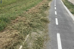 Održavanje staze oko Palićkog jezera