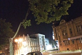 Problem sa parking mestom u centru (grane padaju)