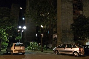 Problem sa parking mestom u centru (grane padaju)