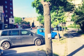 Problem sa parking mestom u centru (grane padaju)