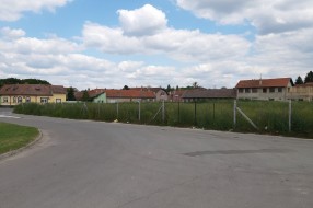 Plantaža ambrozije na Prozivci (kod bivšeg Vitoroga)