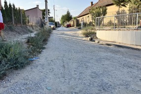 Bagremova ulica - opasnost za vozila i pešake