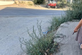 Bagremova ulica - opasnost za vozila i pešake
