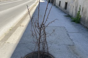 Otvoren šaht mesecima na frekventnoj pešačkoj stazi (A. Čarnojevića)