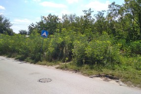 Neodržavanje javne površine, višegodišnji problem Šabačke ulice