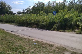 Neodržavanje javne površine, višegodišnji problem Šabačke ulice