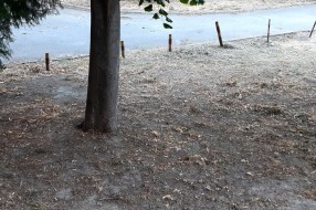 Tarupiranje trave