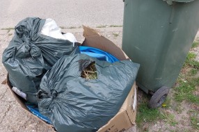Odnošenje kućnog smeća pored kante