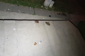 Galama na Teslinom naselju