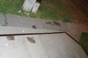 Galama na Teslinom naselju