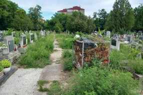 Korov na groblju u Dudovoj šumi (crkveni deo)