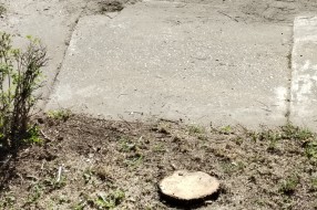 Pohvala za JKP "Čistoća i zelenilo" (uklanjanje drveta i uređenje zelene površine)